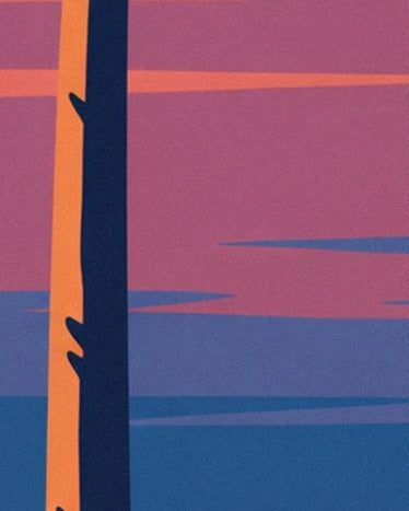 Un tronc sombre bordé d’orange devant les bandes roses et bleues du couchant
