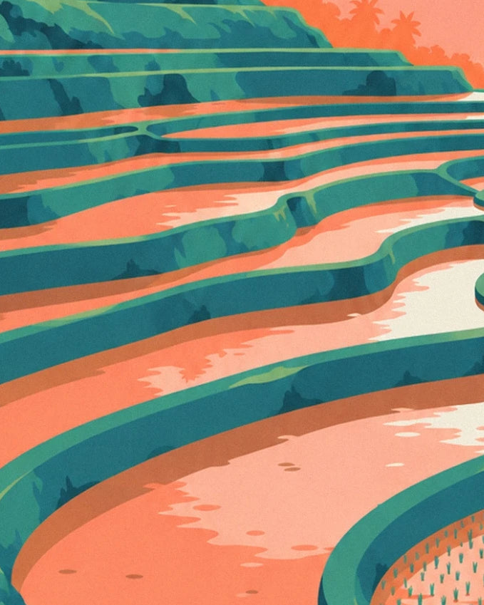 The terraced rice fields of Bali, between green banks and coral reflections