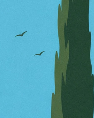 Un cyprès vert sombre élancé et 2 oiseaux en silhouette sur le ciel bleu