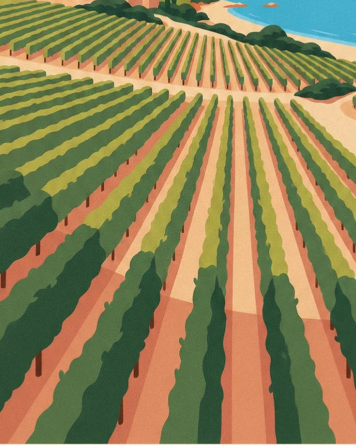 Les rangées de vignes vertes sur la terre ocre, face à la baie bleue de Bandol