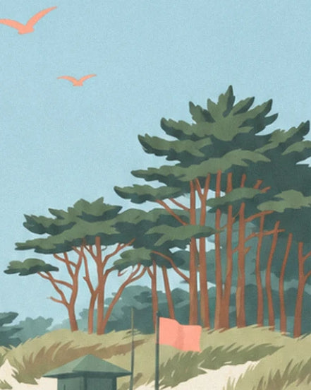 The pines with reddish-brown trunks and the pink flag planted among the dune grasses