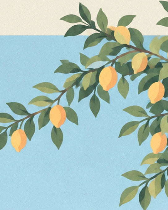 Une branche de citronnier aux 5 citrons mûrs, se détachant sur le bleu de la mer
