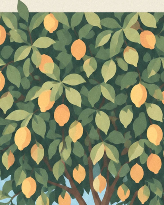 Le feuillage dense du citronnier, chargé de citrons jaunes parmi les feuilles vertes