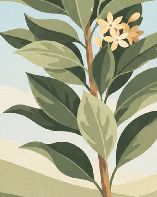 A laurel branch with dark and light green leaves and pale yellow star-shaped flowers against a blue sky