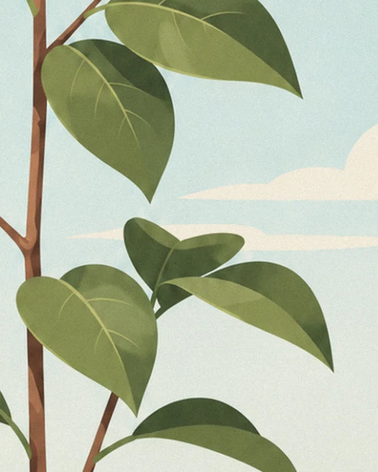 Veined deep green leaves on a branching brown stem, in front of a clear sky and cream cloud