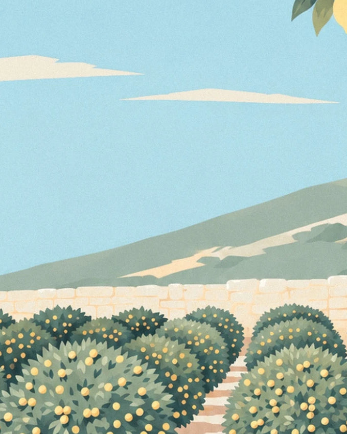 The rows of lemon trees in front of the low stone wall, green hill and blue sky