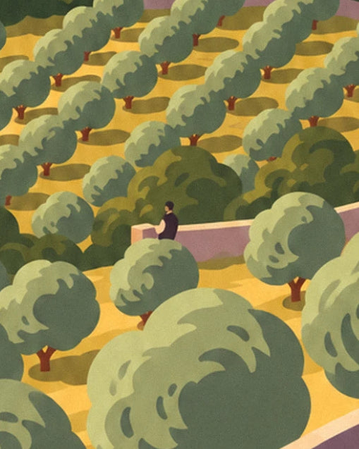 A man leaning on the low wall among olive trees on the golden terrace