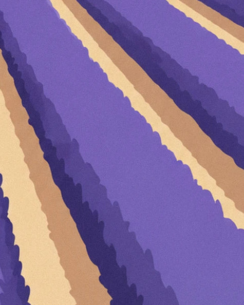 Les bandes de lavande violette et leurs ombres pourpres, séparées par des allées blondes