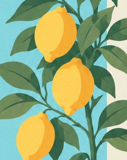 Les 3 citrons jaunes parmi les feuilles vertes du citronnier, sur fond turquoise