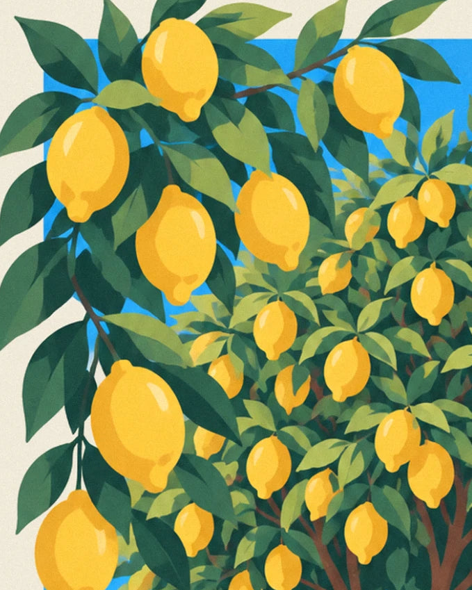 Les citrons jaunes bien mûrs dans leur feuillage vert, sur fond de ciel bleu