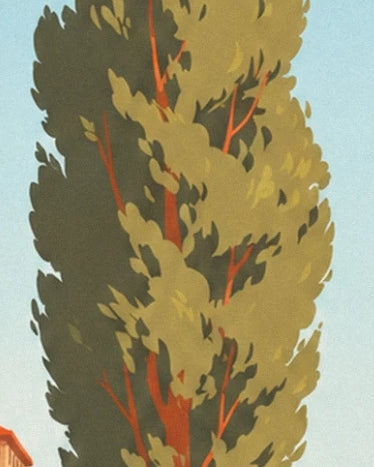 The olive-green foliage of a large tree, threaded with orange branches