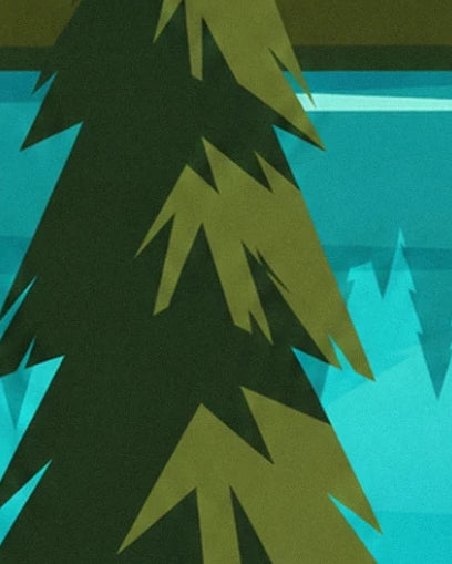A tall fir tree with dark green and olive branches in front of the turquoise waters