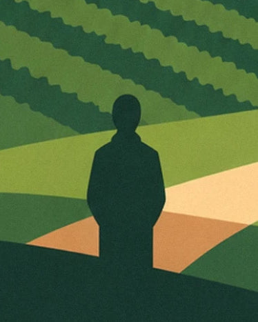 A dark figure in front of rows of crops and pale paths