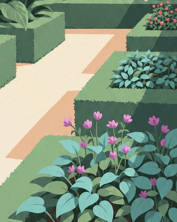 Les buis taillés bordant l'allée claire, avec des fleurs roses sur un lit de feuillage vert-bleu