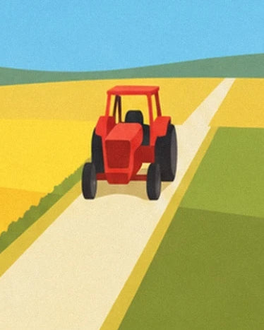 The little red tractor on a pale track between yellow and green fields