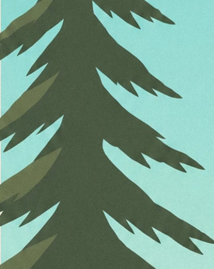 The pointed branches of a dark green pine against a turquoise blue background
