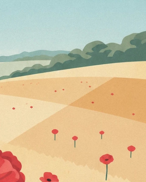 The plots of golden wheat dotted with red poppies in front of the green hedges