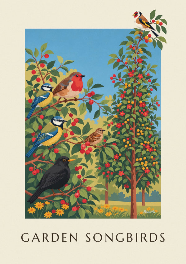 Garden songbirds naturalist plate poster