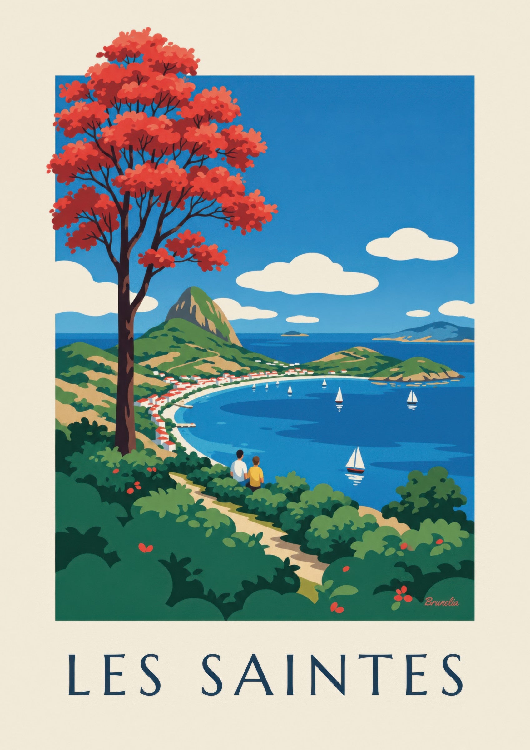 Affiche Guadeloupe, baie des Saintes à Terre-de-Haut: zbliżenie szczegółu