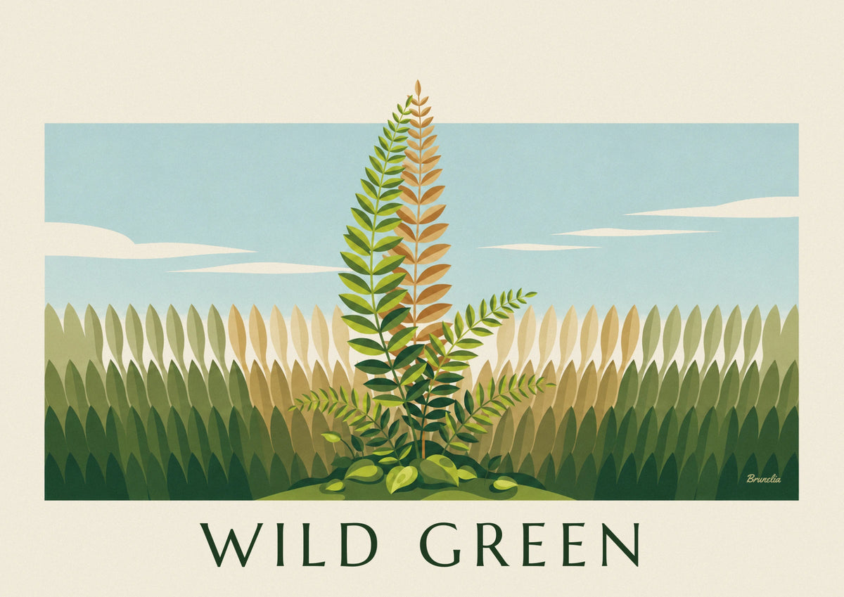 Green fern botanical study plate poster