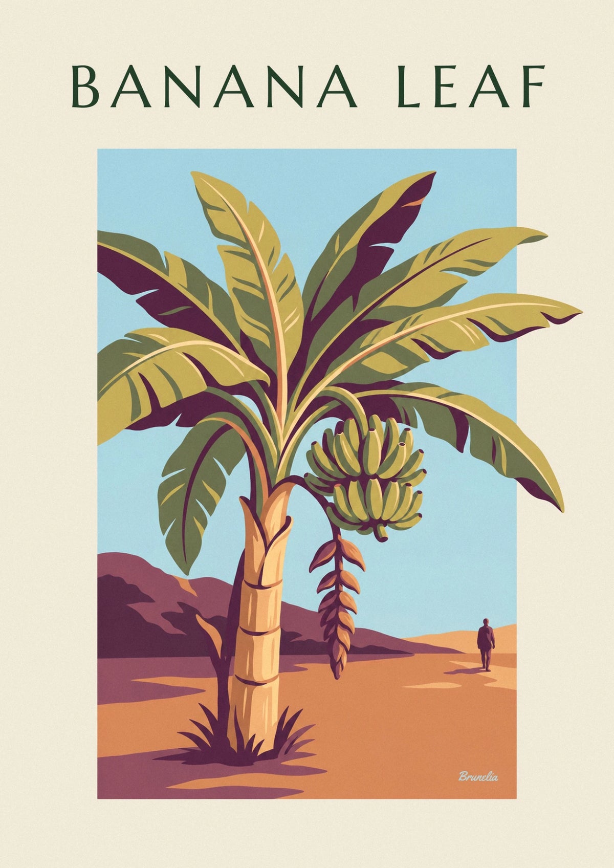Banana plant and fruit botanical plate poster